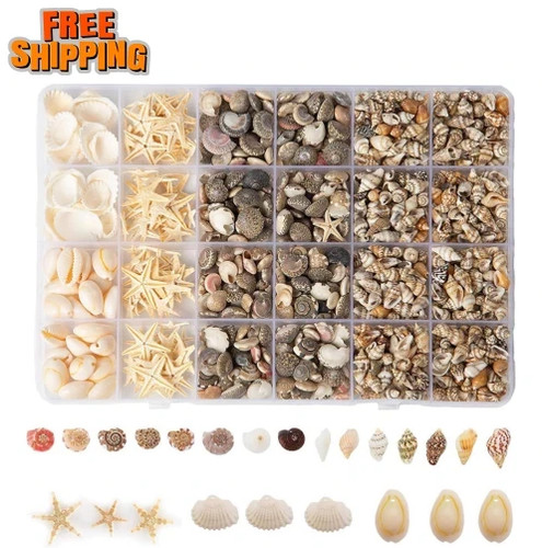 1300 pcs tiny seashells for - seashells,