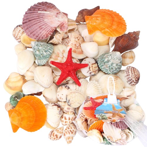 100 pcs mixed beach sea - beach, shells